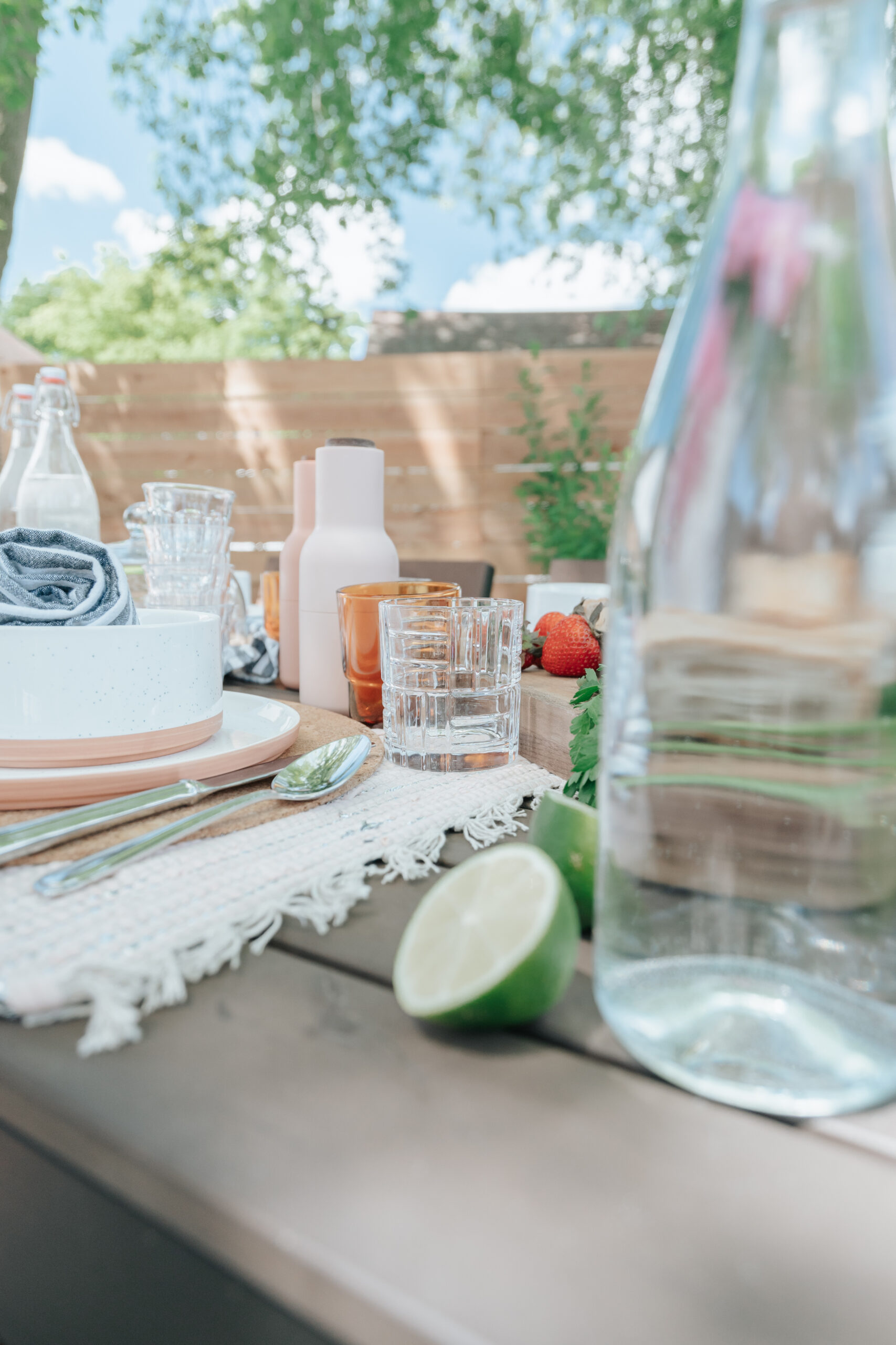 ULTIMATE OUTDOOR DINING GUIDE image 3