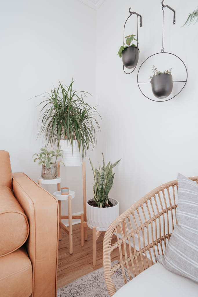 Reset Brain + Body image 1